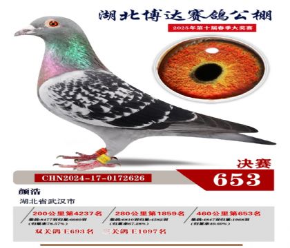 博達春棚決賽653名