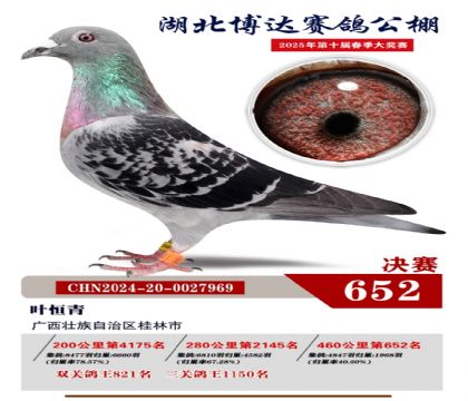 博達春棚決賽652名