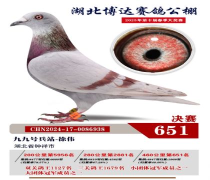 博達春棚決賽651名