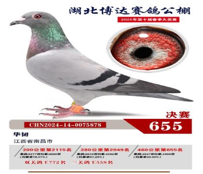 博達春棚決賽655名