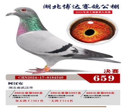博達春棚決賽659名