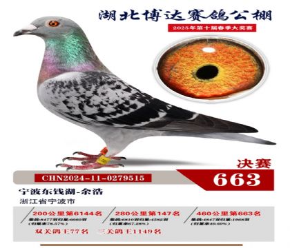 博達春棚決賽663名