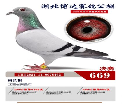 博達春棚決賽669名