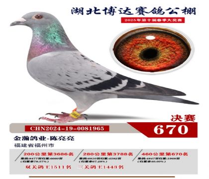 博達春棚決賽670名