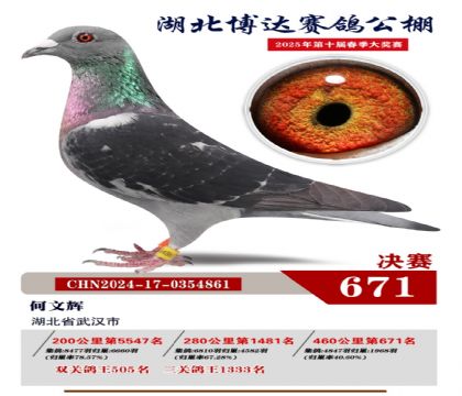 博達春棚決賽671名