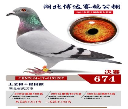 博達春棚決賽674名