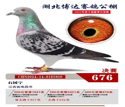 博達春棚決賽676名