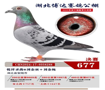 博達春棚決賽677名
