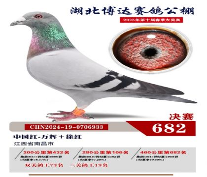 博達春棚決賽682名