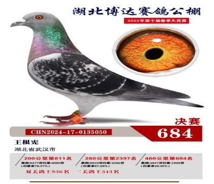博達春棚決賽684名