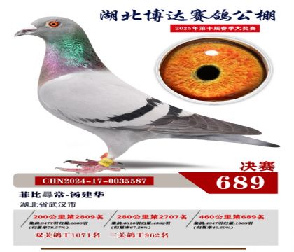 博達春棚決賽689名