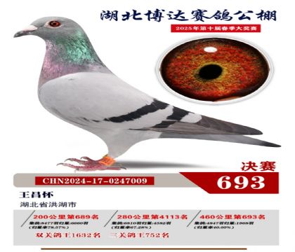 博達春棚決賽693名