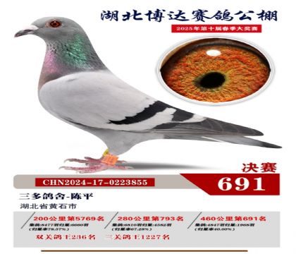 博達春棚決賽691名