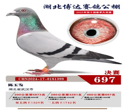 博達春棚決賽697名