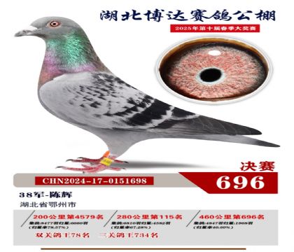 博達春棚決賽696名