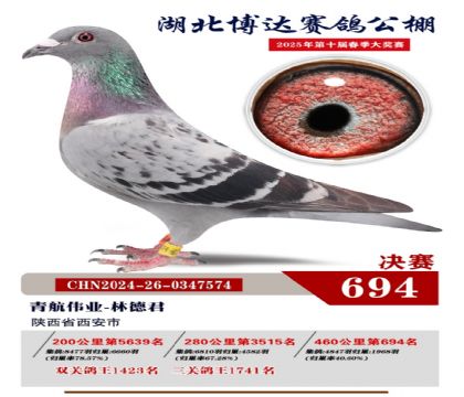博達春棚決賽694名
