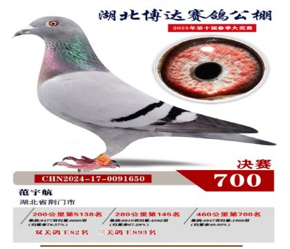博達春棚決賽700名
