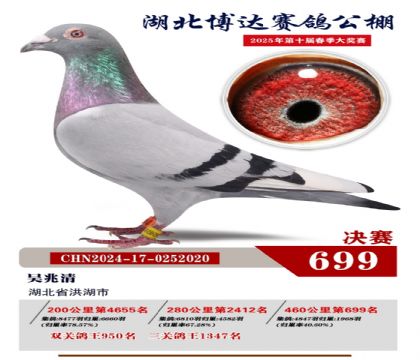 博達春棚決賽699名