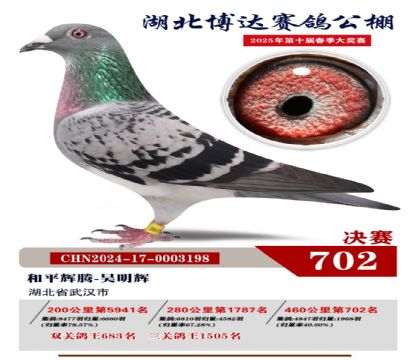 博達(dá)春棚決賽702名
