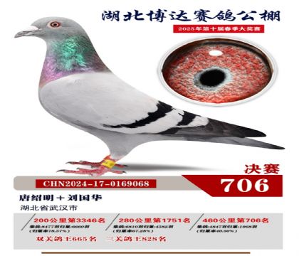 博達(dá)春棚決賽706名