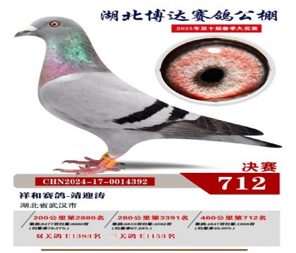 博達(dá)春棚決賽712名