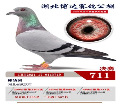 博達(dá)春棚決賽711名