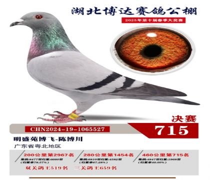 博達(dá)春棚決賽715名