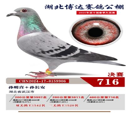 博達(dá)春棚決賽716名