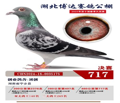 博達(dá)春棚決賽717名