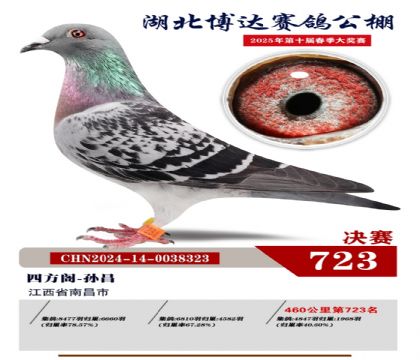 博達(dá)春棚決賽723名