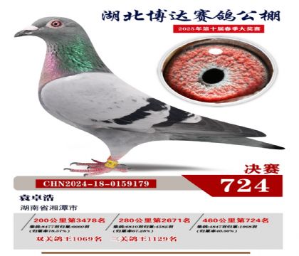 博達(dá)春棚決賽724名