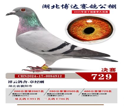 博達(dá)春棚決賽729名