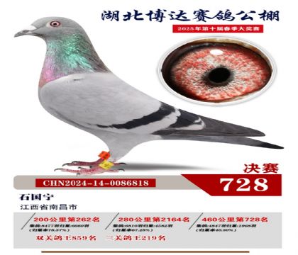 博達(dá)春棚決賽728名