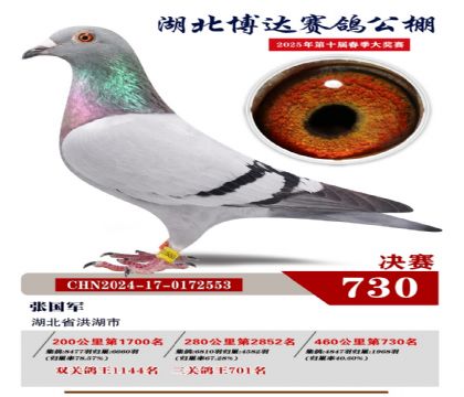 博達(dá)春棚決賽730名