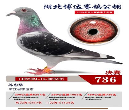 博達(dá)春棚決賽736名