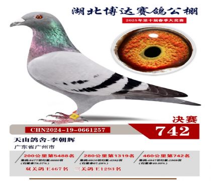 博達(dá)春棚決賽742名