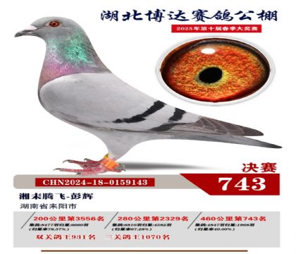 博達(dá)春棚決賽743名