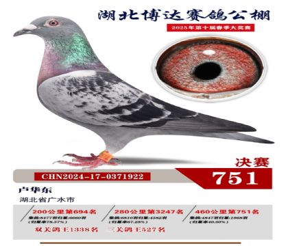 博達(dá)春棚決賽751名