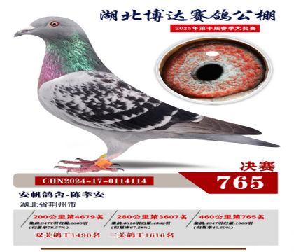 博達(dá)春棚決賽765名