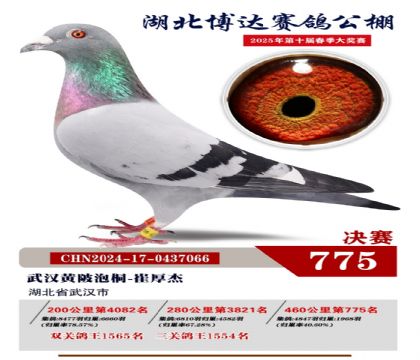 博達(dá)春棚決賽775名