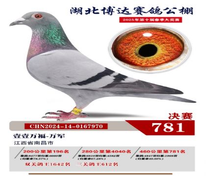 博達(dá)春棚決賽781名