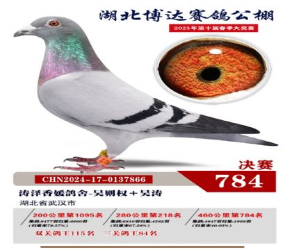 博達(dá)春棚決賽784名
