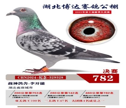 博達(dá)春棚決賽782名