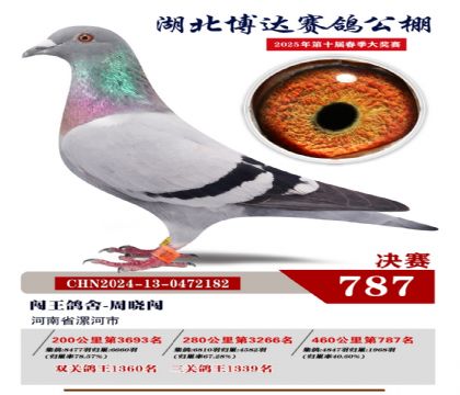 博達(dá)春棚決賽787名