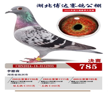 博達(dá)春棚決賽785名