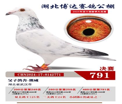 博達(dá)春棚決賽791名