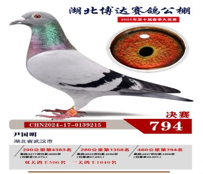 博達(dá)春棚決賽794名