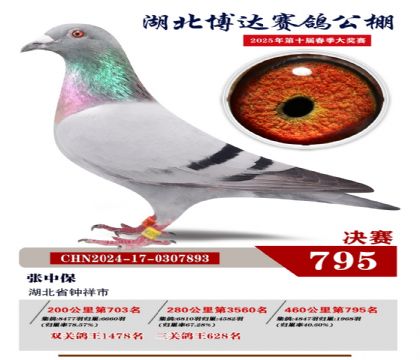 博達(dá)春棚決賽795名