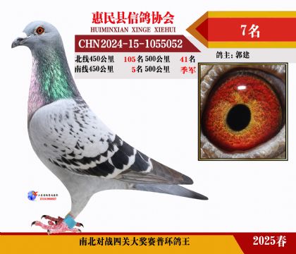 南北對(duì)決普環(huán)四關(guān)鴿王7名