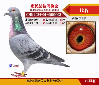 南北對(duì)決普環(huán)四關(guān)鴿王12名